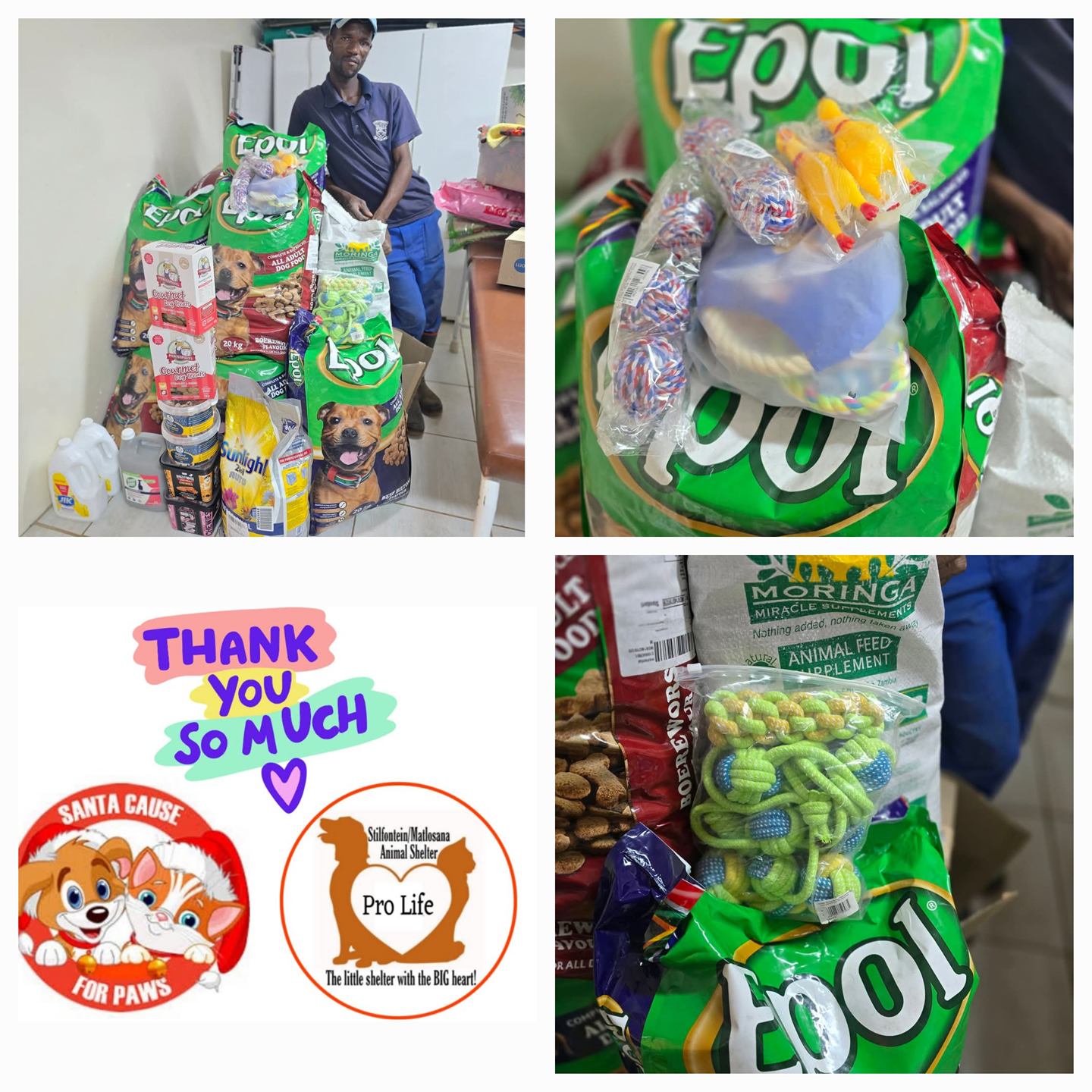 Stilfontein Matlosana Animal Shelter